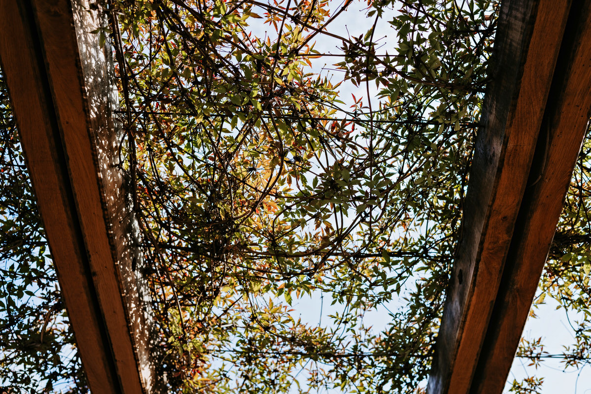 September wedding, details