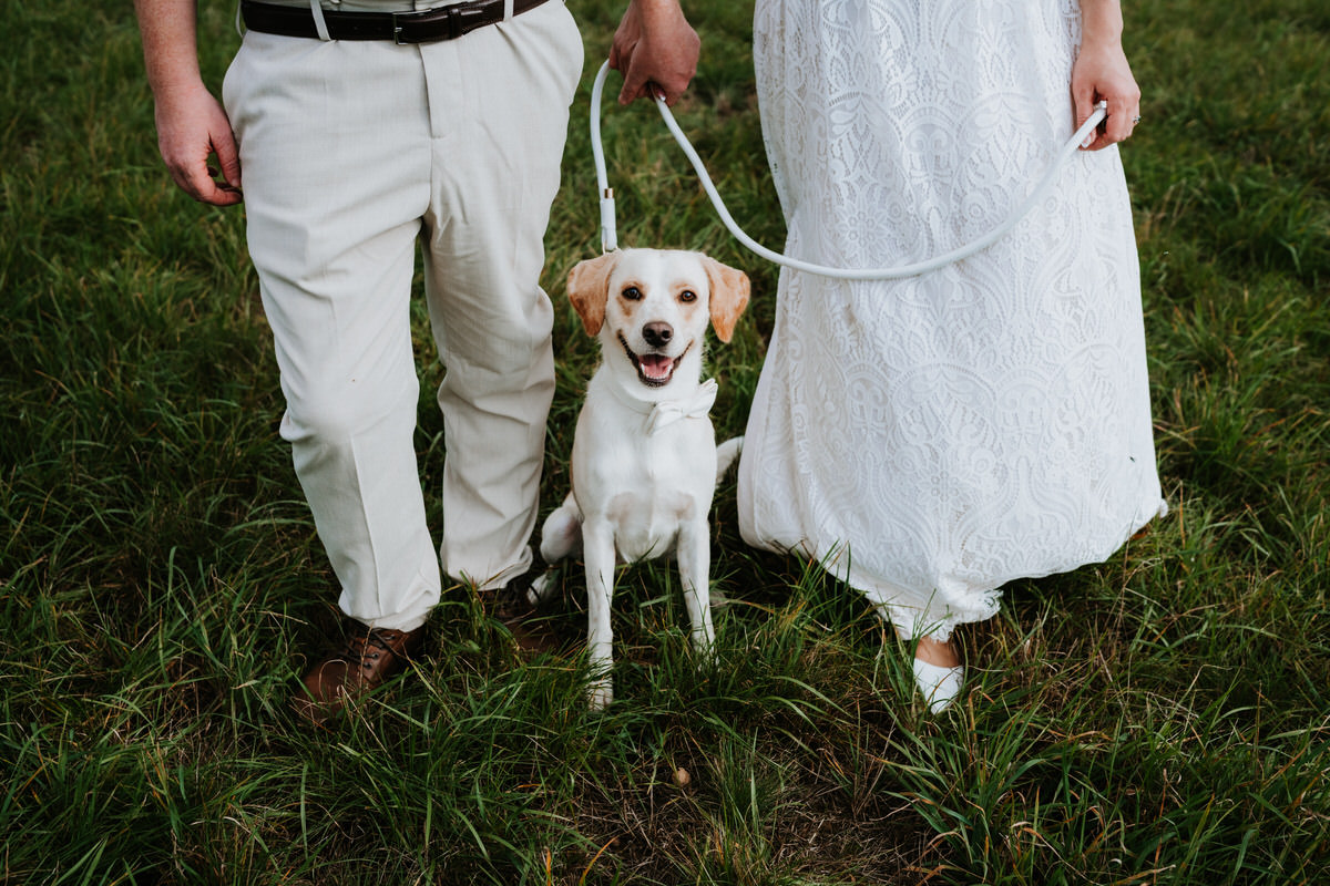 Newlywed photoshoot with a dog.