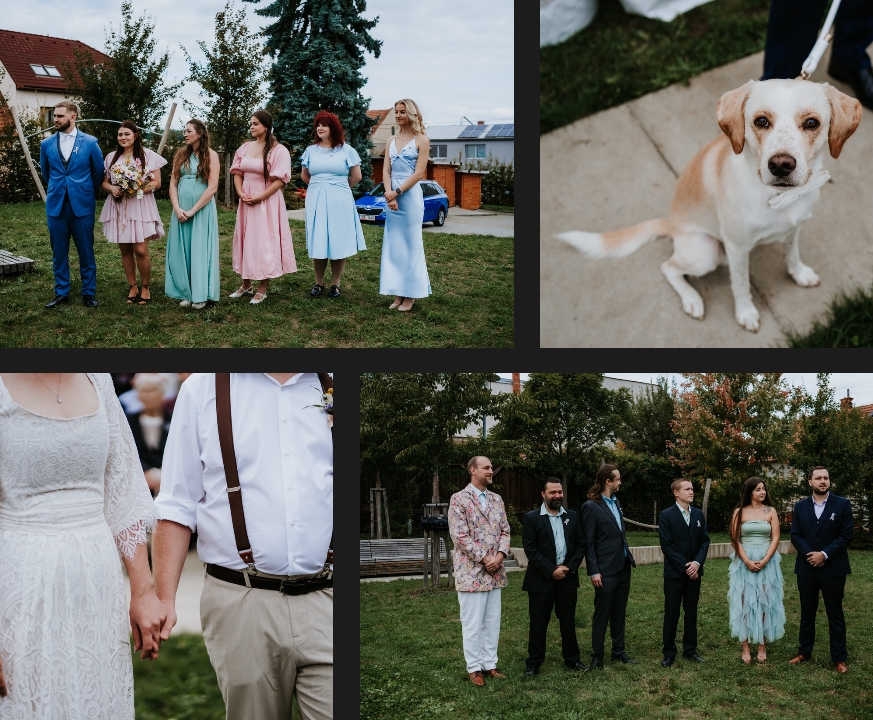 Outdoor wedding ceremony, snapshots of guests and newlyweds.