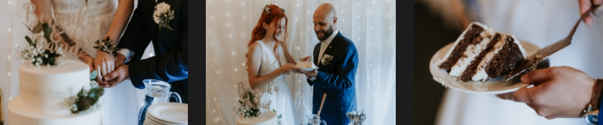 Newlyweds during the cutting of the wedding cake.